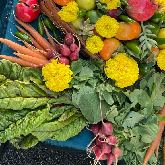 Meet your Posher, Alissa - Picture 3 of 3